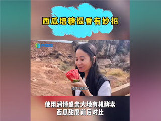 西瓜增糖提香有妙招，使用潤(rùn)博盛親大地有機(jī)酵素，西瓜甜度前后對(duì)比